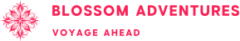 blossomadventure.com