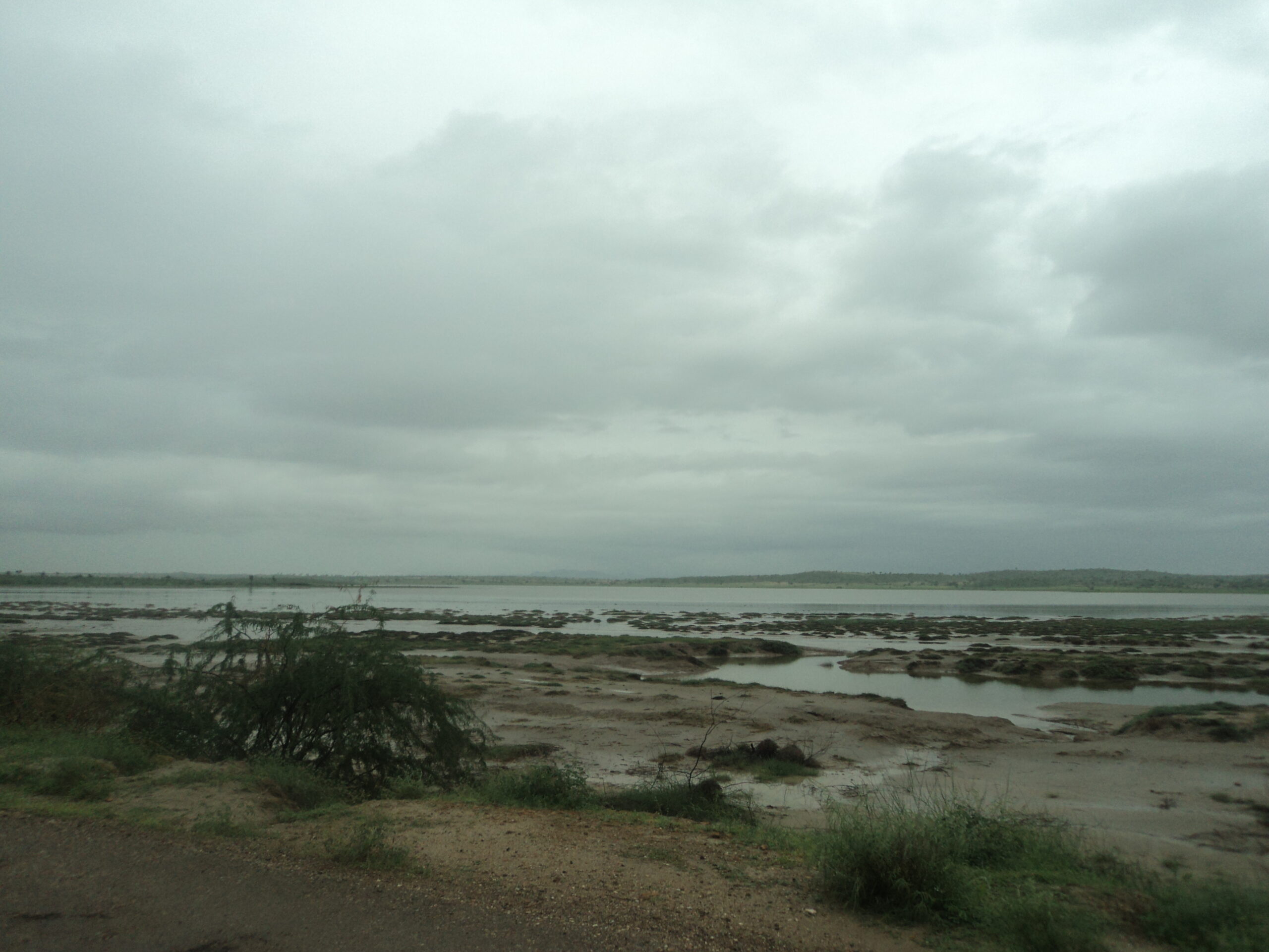 Nagarparkar, Thar in rainy days