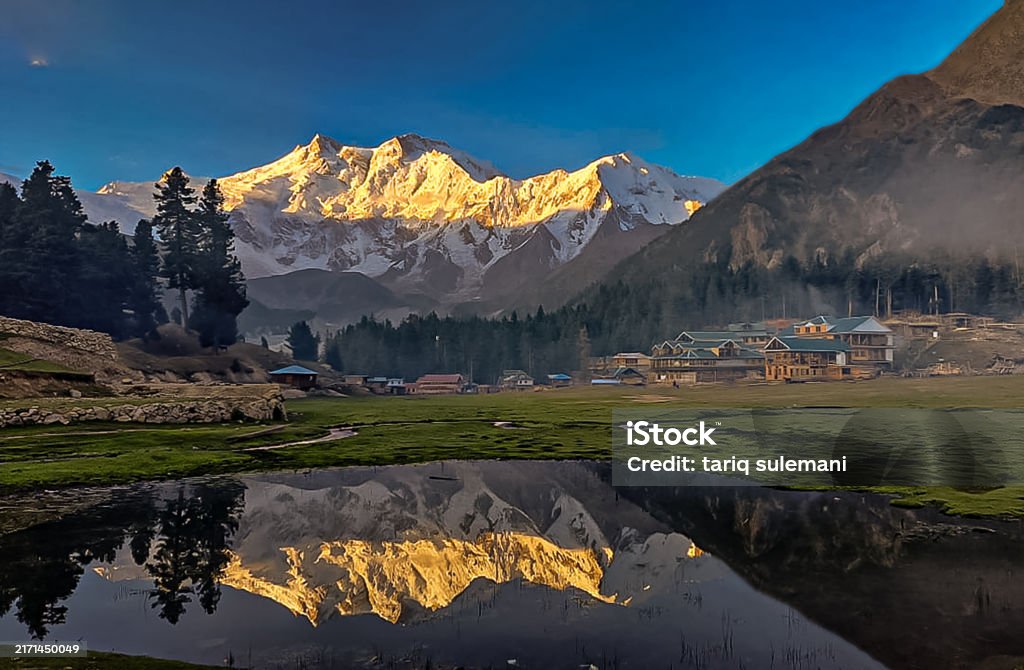 Fairy meadows