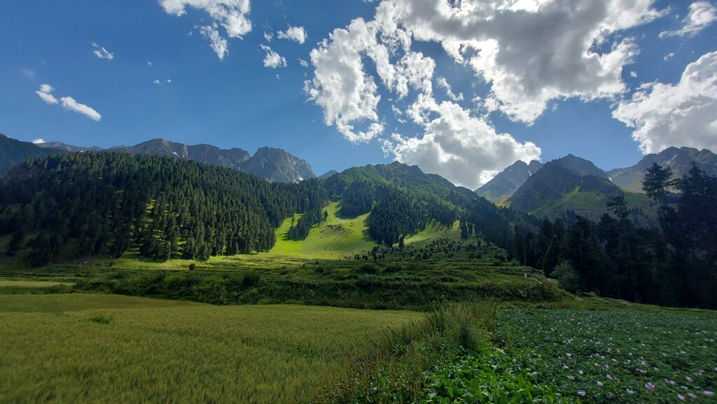 Naltar Gilgit,;;