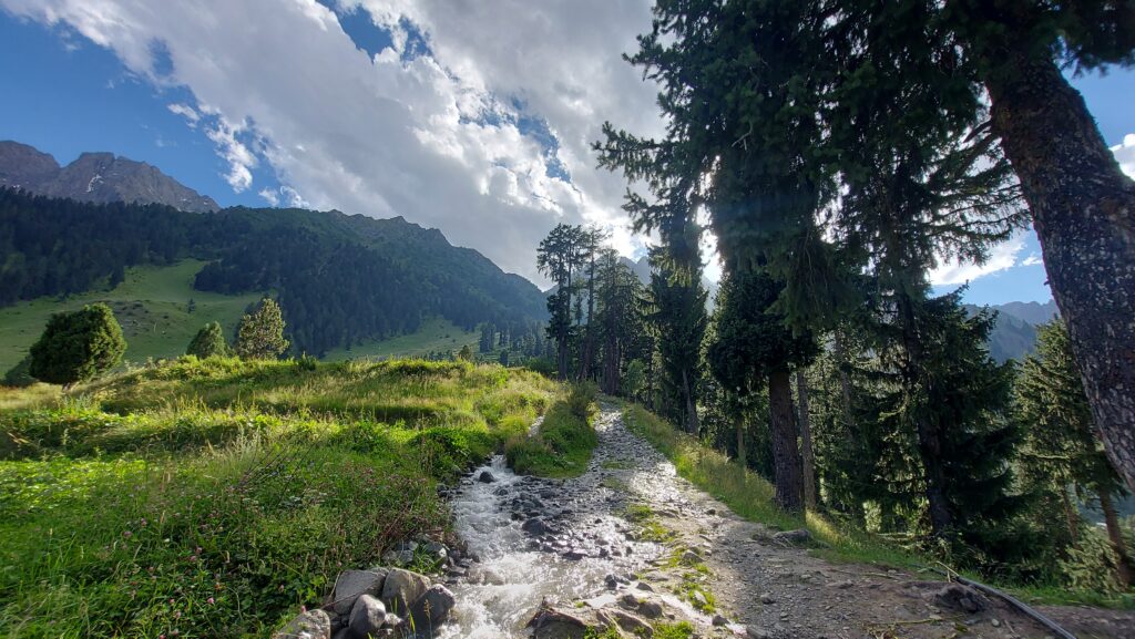Naltar Meadows, GB..