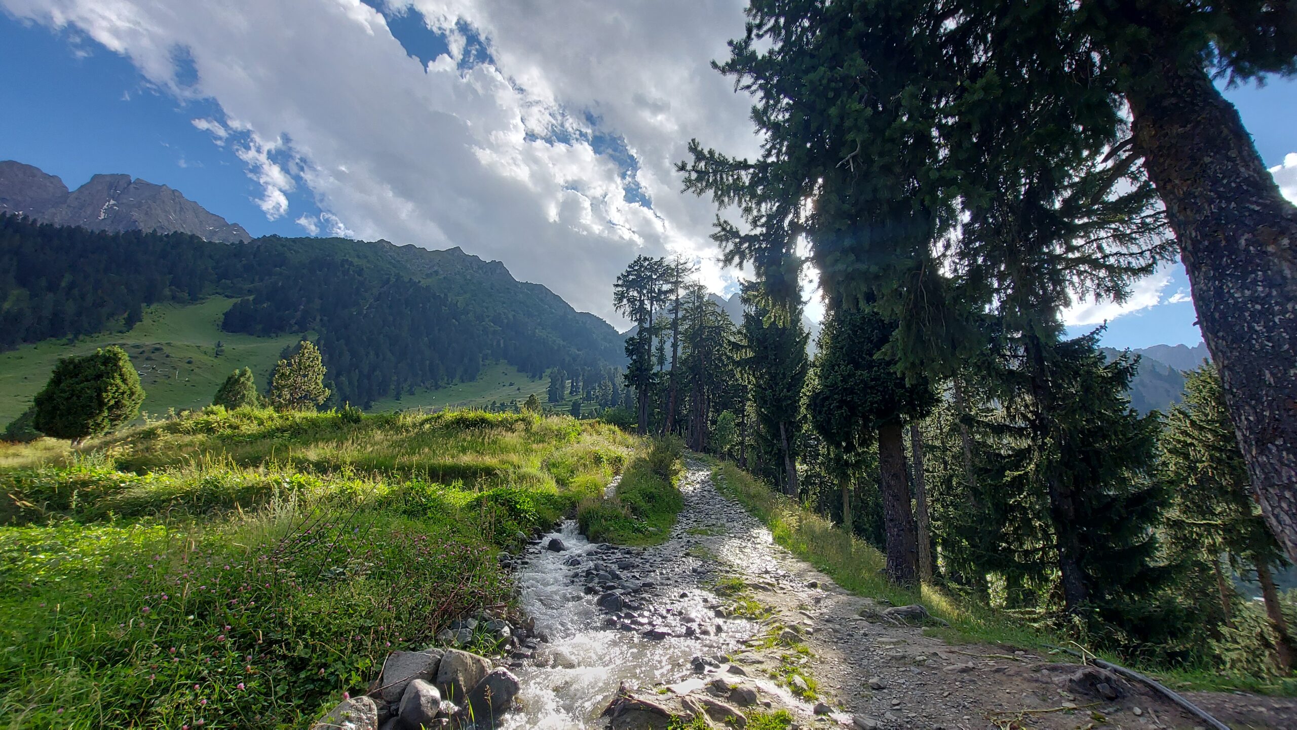 Naltar Meadows, GB..